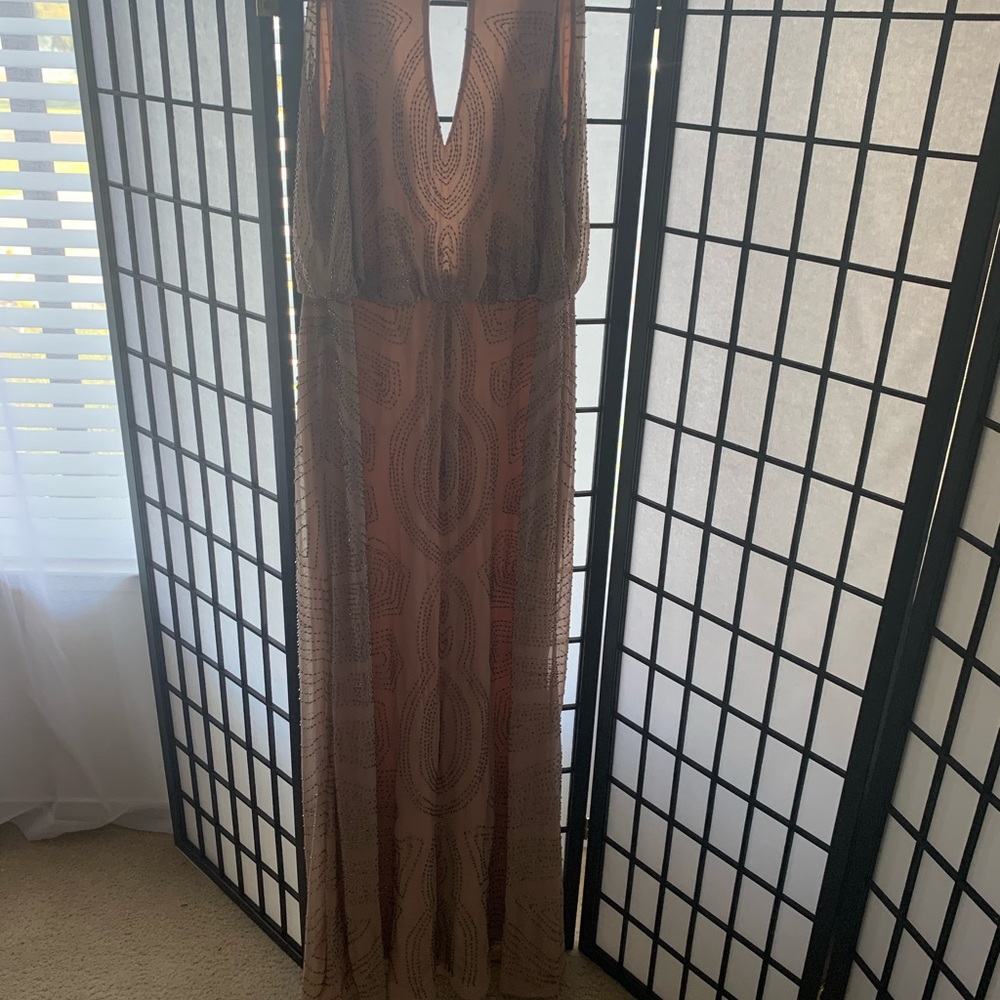 Blush Evening Own By Cache - image 1